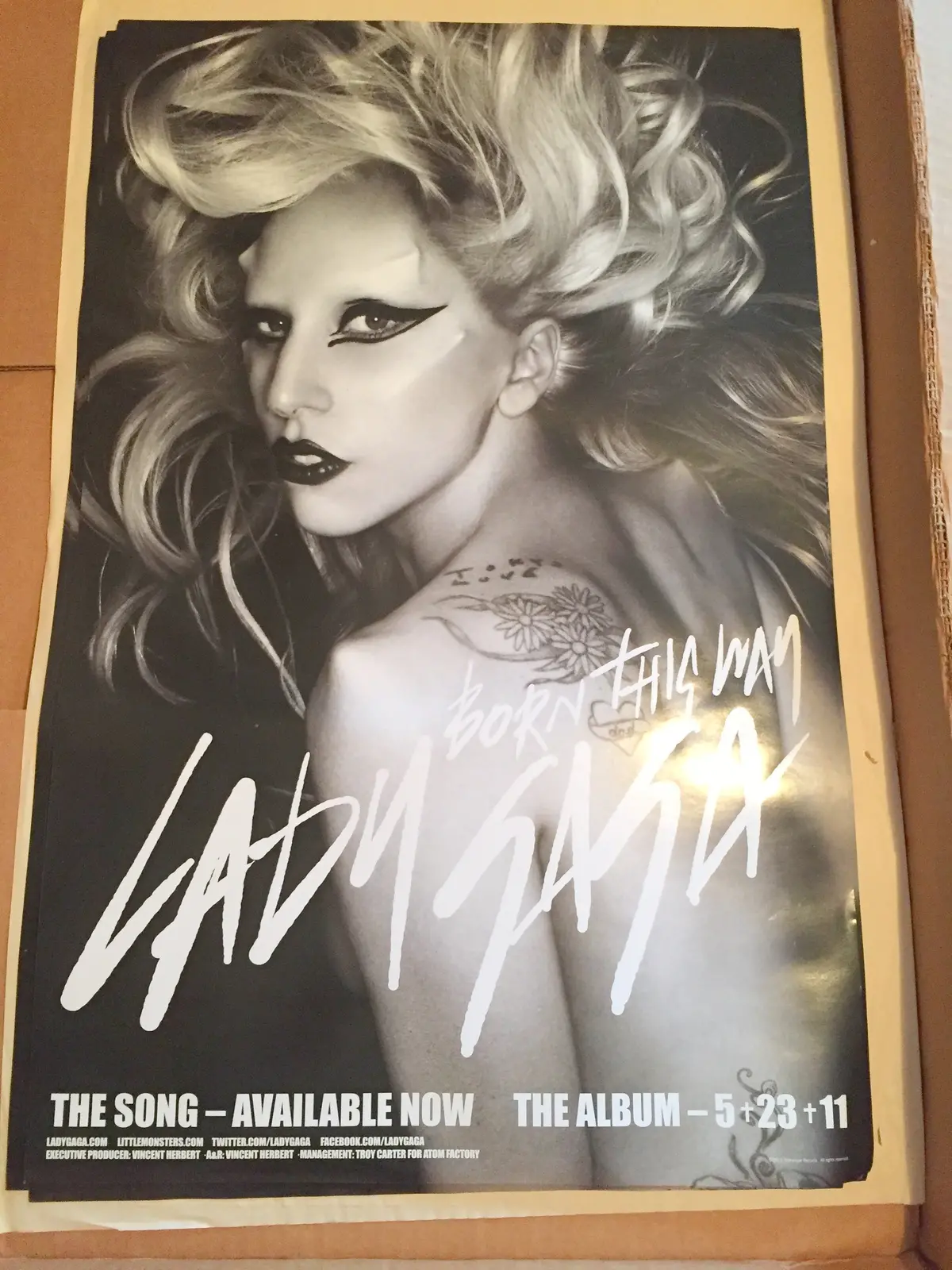 Lady Gaga - Born This Way Official Promo Poster 14X22 1