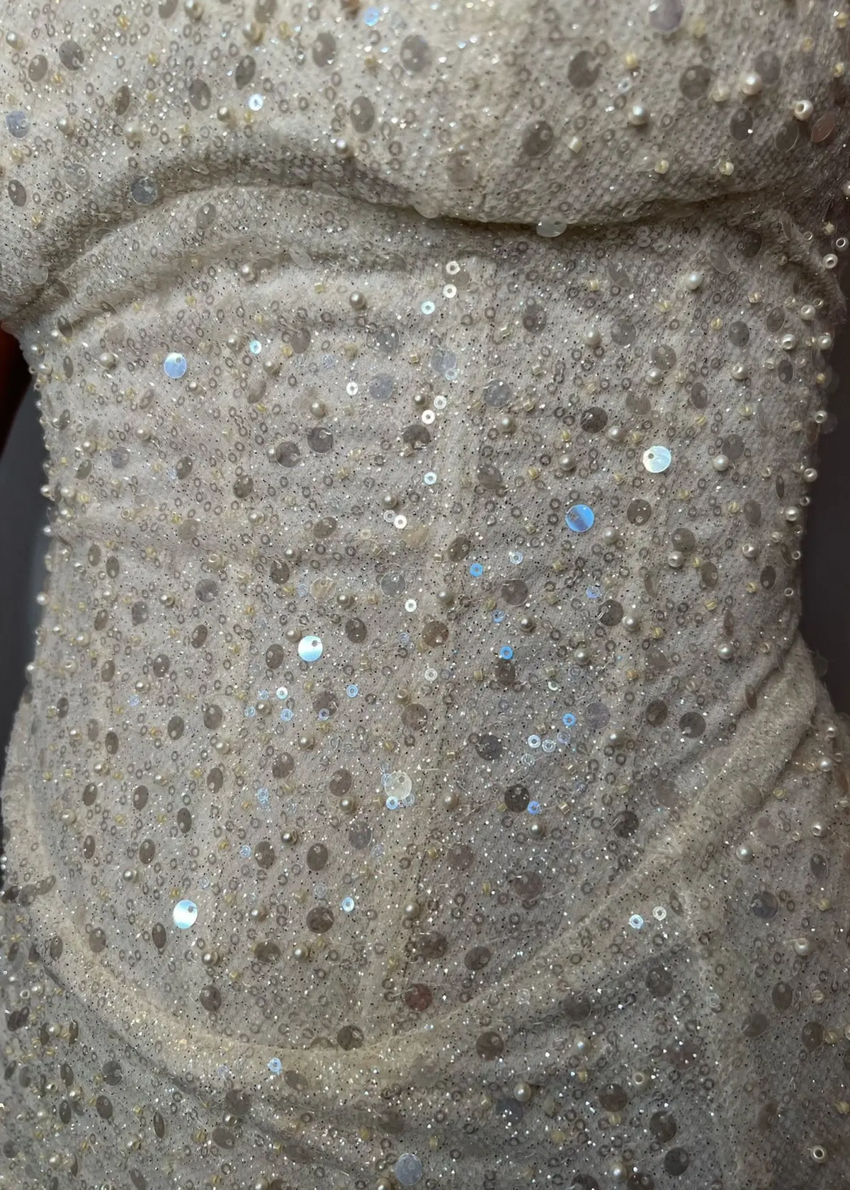 Secrets Out Embellished Gown - Pearl 3