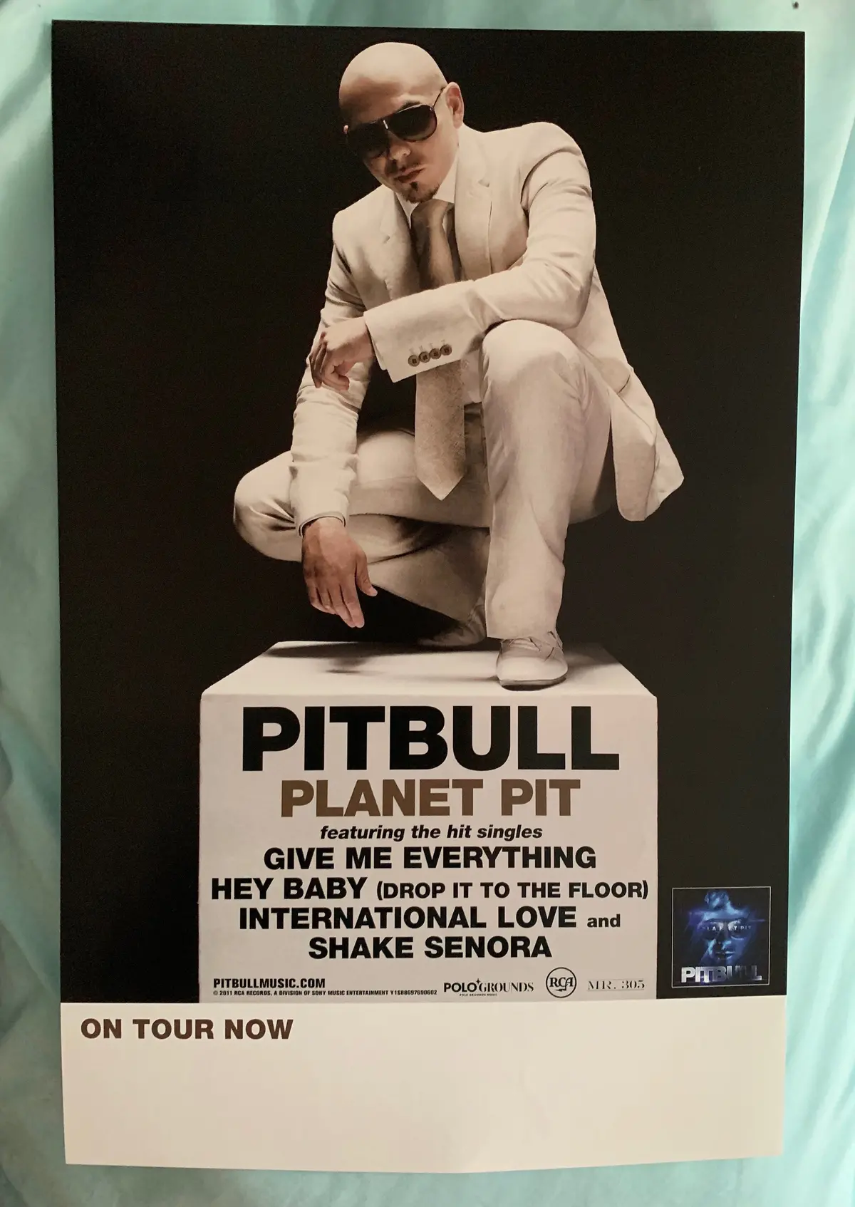 Pitbull - Planet Pit 11X17 Poster Promo 1