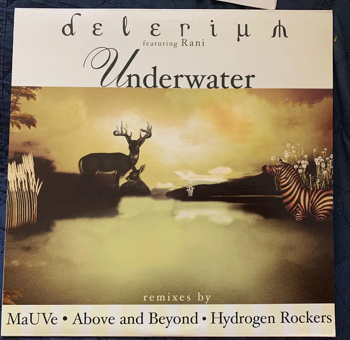 Delerium Ft: Rani - Underwater 2001 12" Remix Lp - Used In Vg+++ 1
