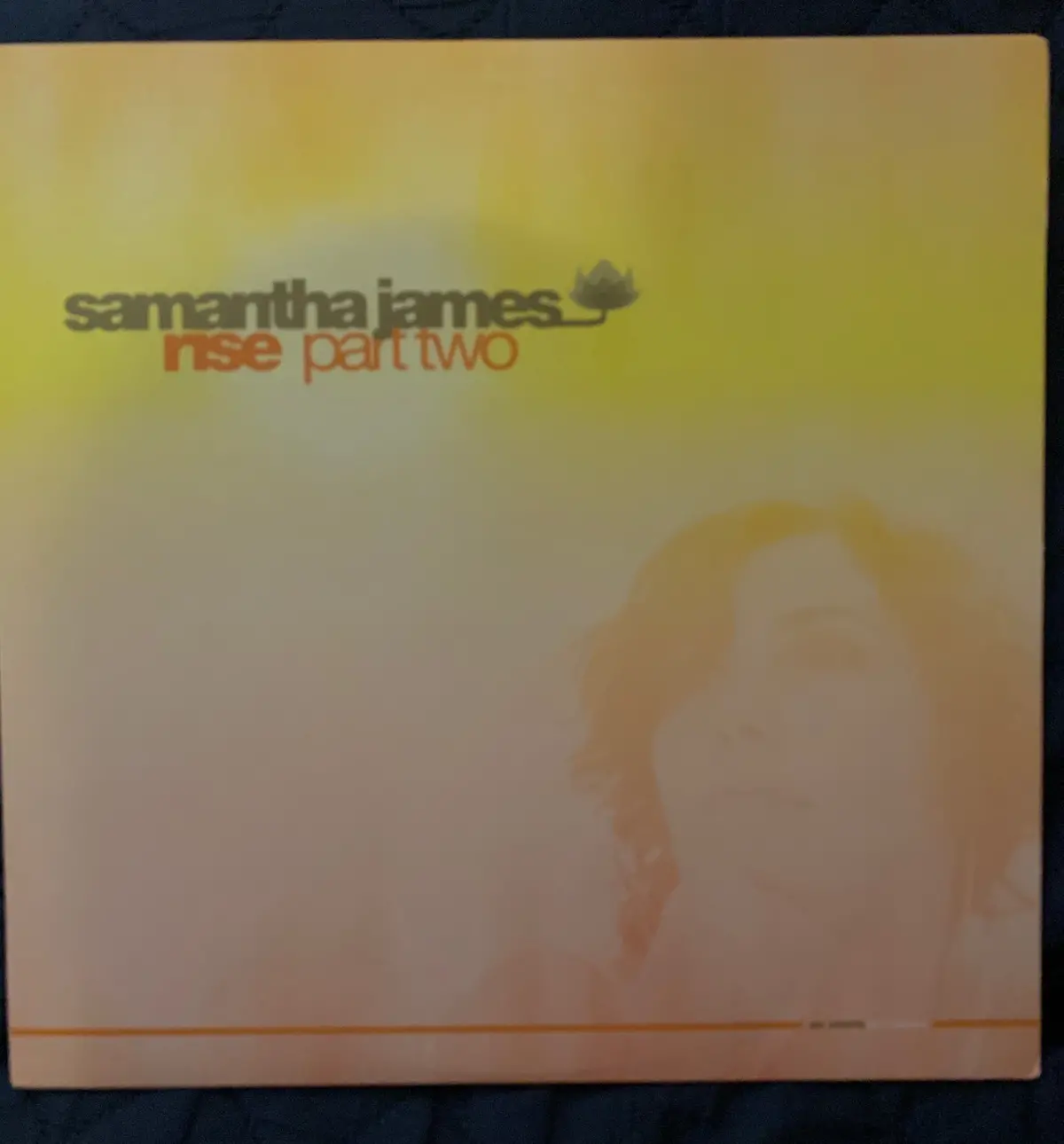 Samantha James - Rise (Part Two) 12"  Lp Vinyl - Used 1