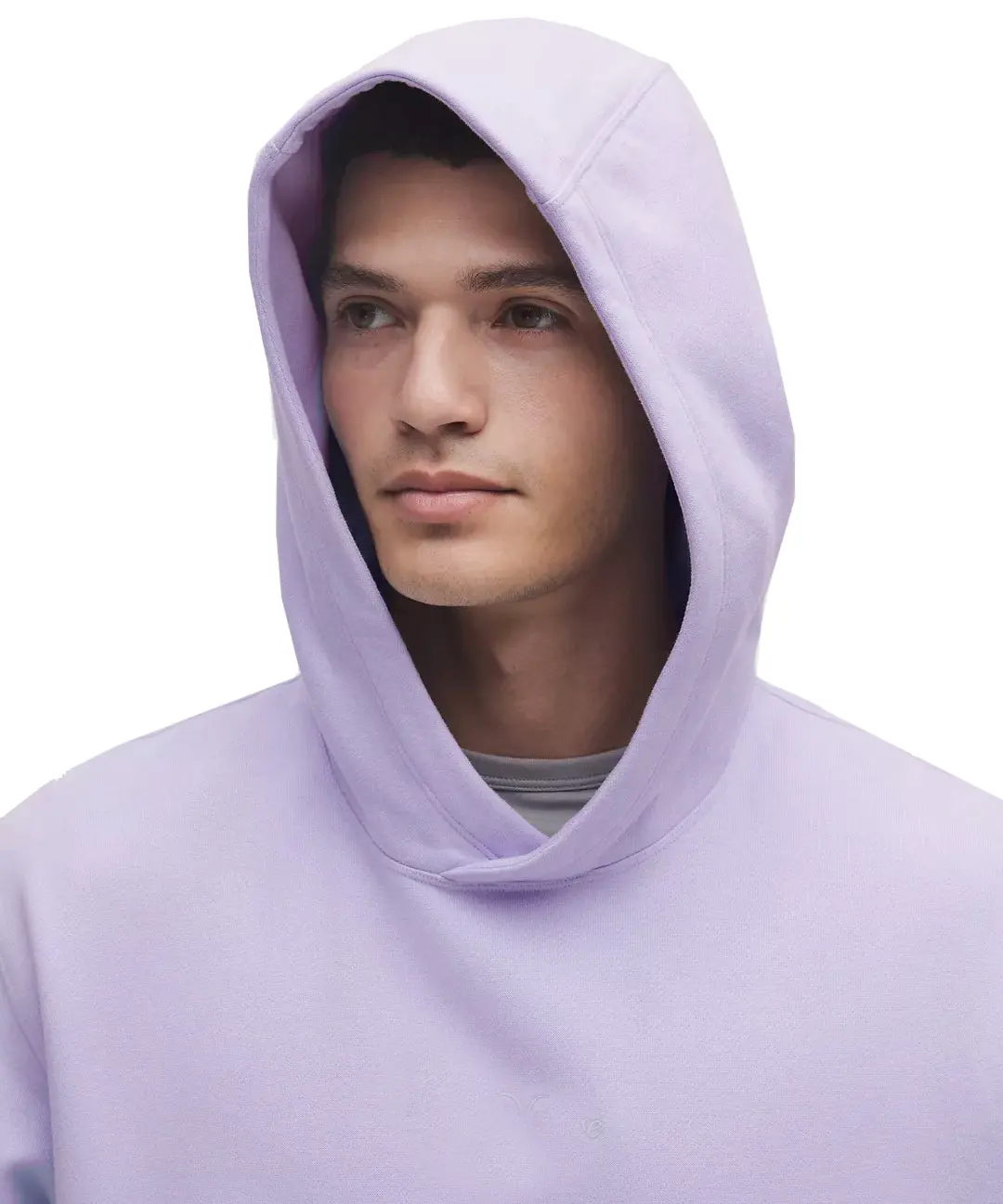 Sigma Alpha Epsilon Lululemon Steady State Pullover Hoodie - Lavender Frost 4