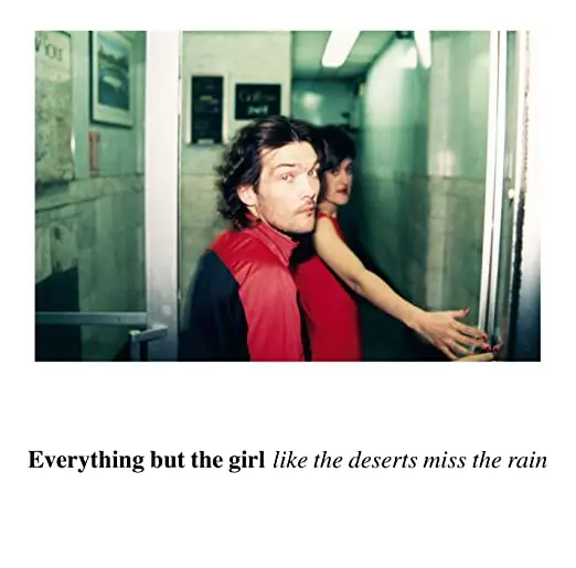 Everything But The Girl (Ebtg) Like The Deserts Miss The Rain Best Of Cd   - Used 1