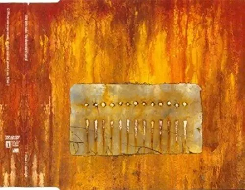 Nine Inch Nails - The Downward Spiral  Cd- Used 1