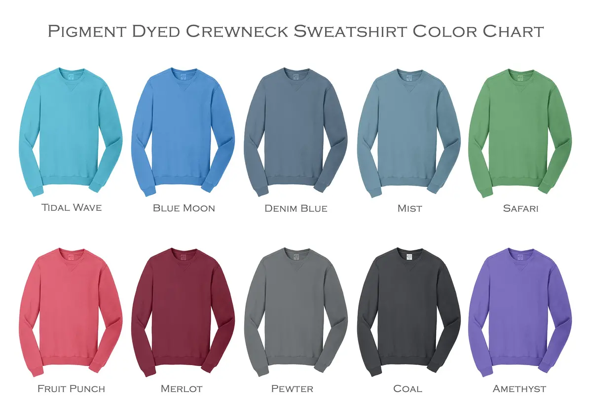 Kappa Delta Rho Beach Washed Crewneck Sweatshirt 3