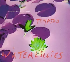 Waterlillies - Tempted (Remix Cd Single) Used 1