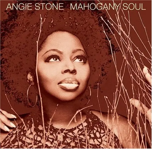 Angie Stone - Mahogany Soul + Bonus Track Cd - Used 1