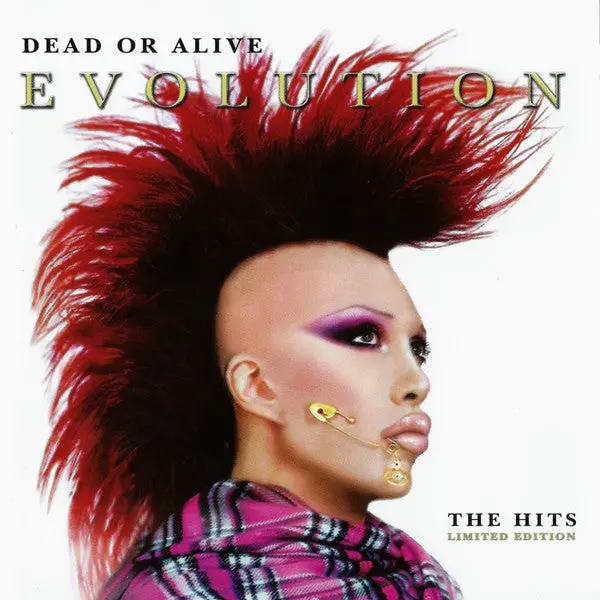Dead Or Alive - Evolution The Hits  Cd   - Used 1