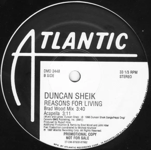 Duncan Sheik – Reasons For Living 12" Promotional Remix Lp Vinyl - Used 2