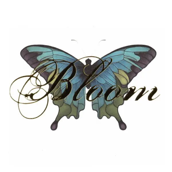 Sarah Mclachlan - Bloom (Club Remix Album Vol. 2) Used Cd 1