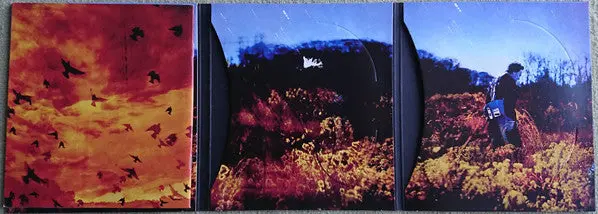 Bruce Springsteen – Working On A Dream Cd+ Dvd (Deluxe Limited Edition) - Used 2