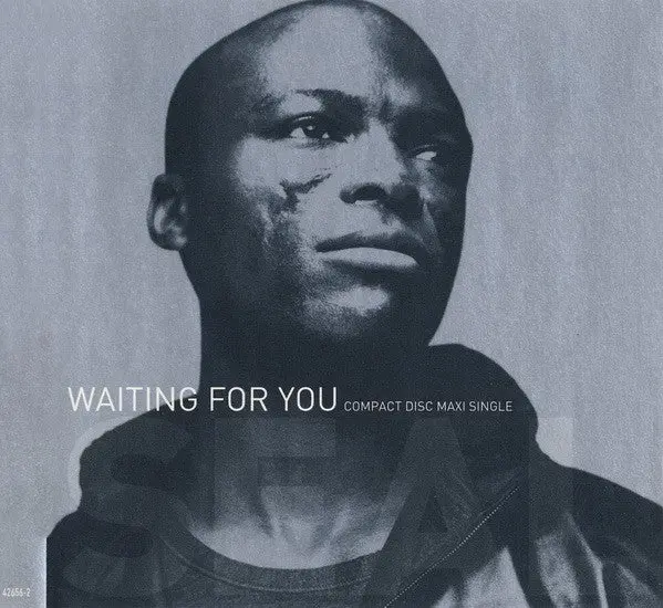 Seal - Waiting For You (Remixes) Cd Single  - Used 1