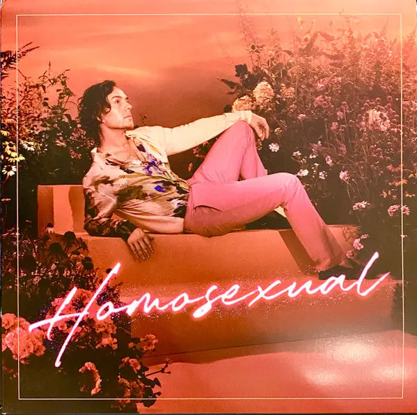 Darren Hayes - Homosexual Cd - New 1
