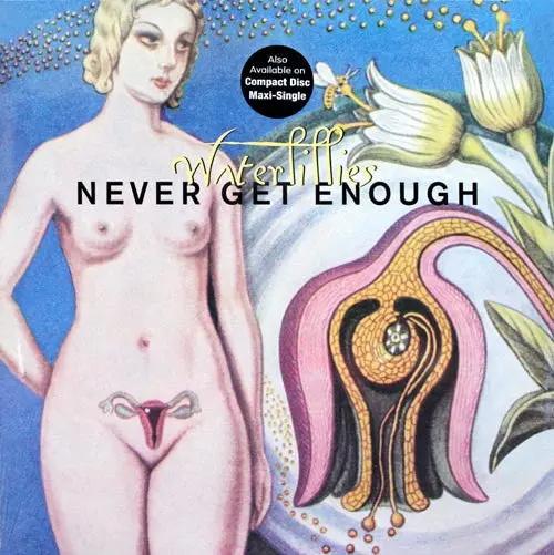 Waterlillies - Never Get Enough - Maxi Cd Single - Used 1