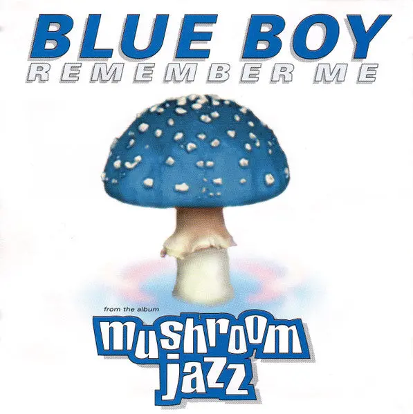 Mushroom Jazz Presents Blue Boy - Remember Me (Us Maxi Cd Single) Used 1