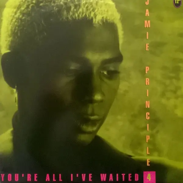 Jaime Principle - You're All I've Waited 4 (The Edits) --- Us Cd Single - Used 1