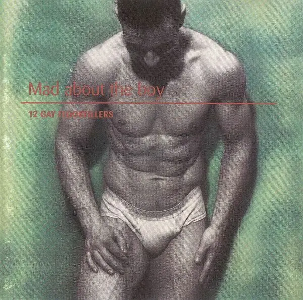 Mad About The Boy - 12 Gay Floorfillers  (Various) Import Cd - Used 1