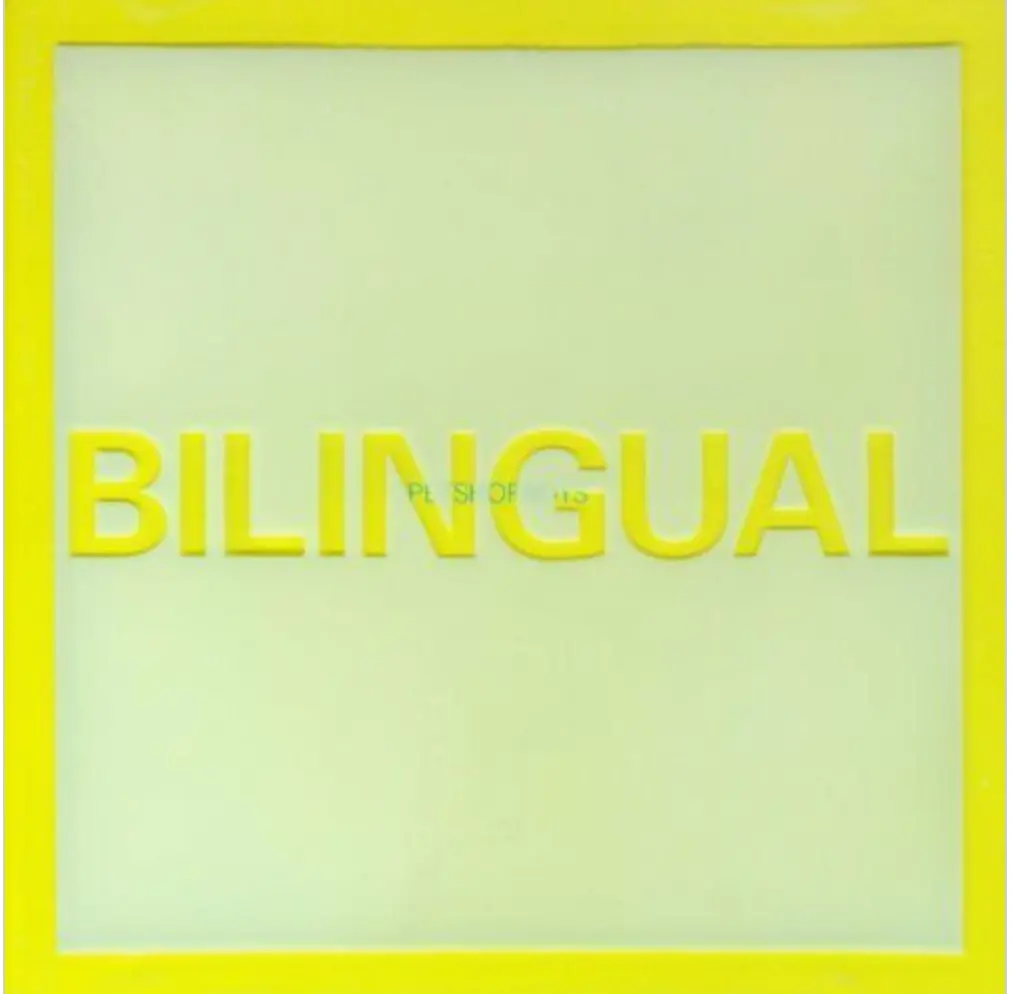Pet Shop Boys - -Bilingual Cd - Used 1