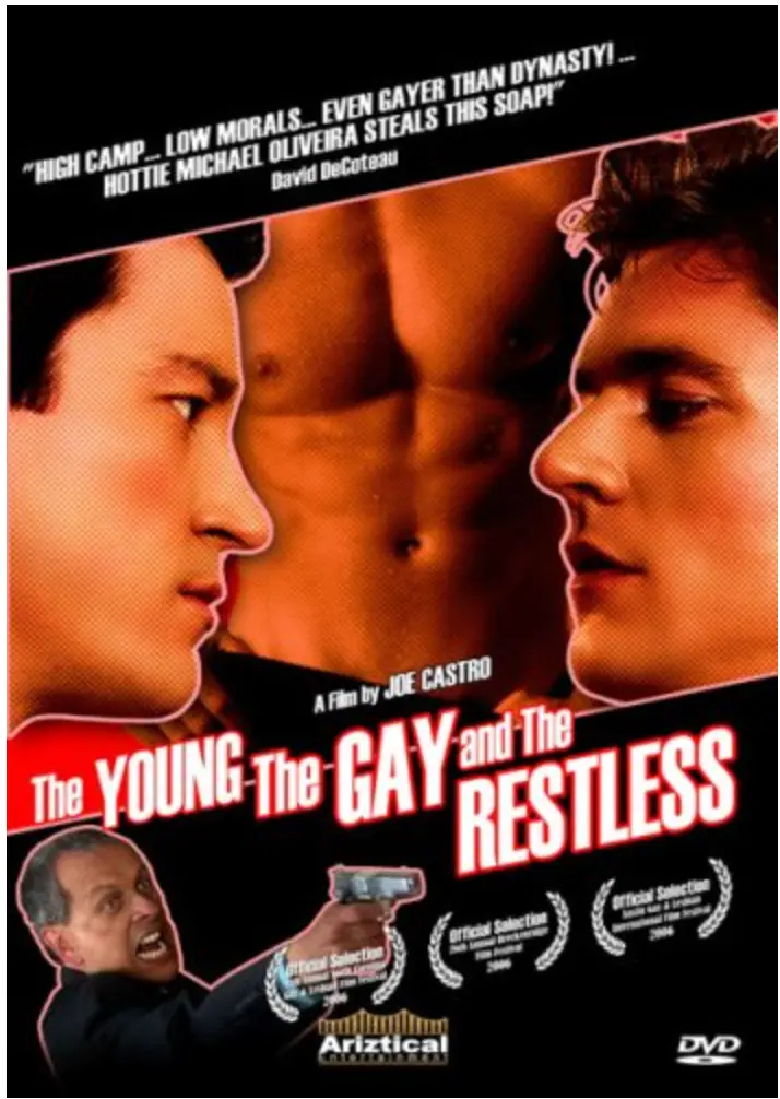 The Young, The Gay And The Restless Dvd - New 1