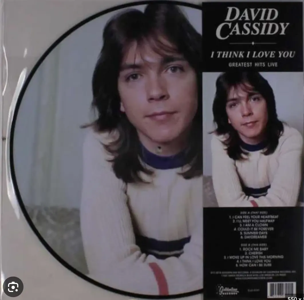 David Cassidy - I Think I Love You Greatest Hits Live (Picture Disc Lp Vinyl) New 1