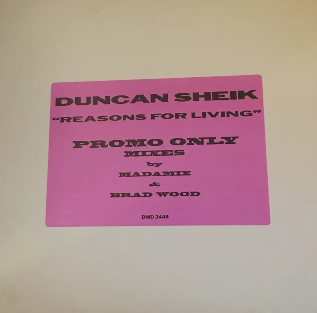 Duncan Sheik – Reasons For Living 12" Promotional Remix Lp Vinyl - Used 1