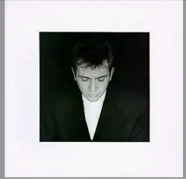 Peter Gabriel - Shaking The Tree The Best Of (16 Hits) Cd - Used 1