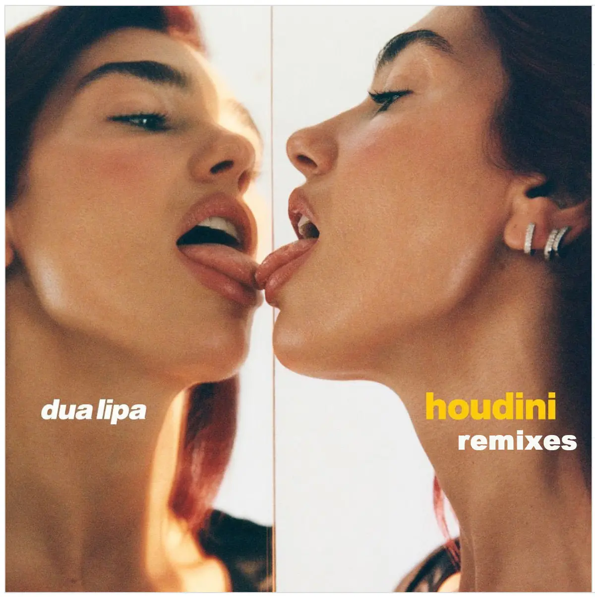 Dua Lipa - Houdini - The Remixes Cd Single 1