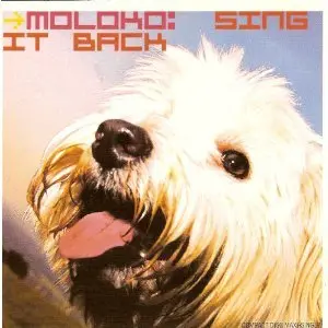 Moloko - Sing It Back (Usa Maxi Cd Single)  Remixes Used Cd Single 1