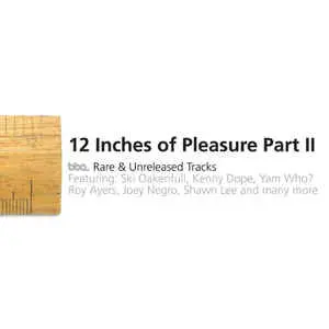 12 Inches Of Pleasure Part Ii (Promo Cd) 1