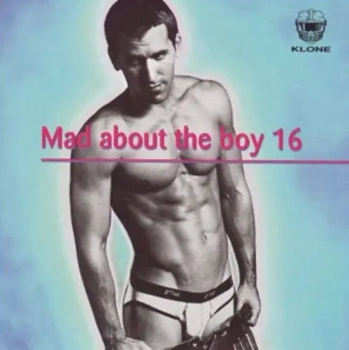 Mad About The Boy Vol. 16 - 2Cd Import (Various) - Used 1