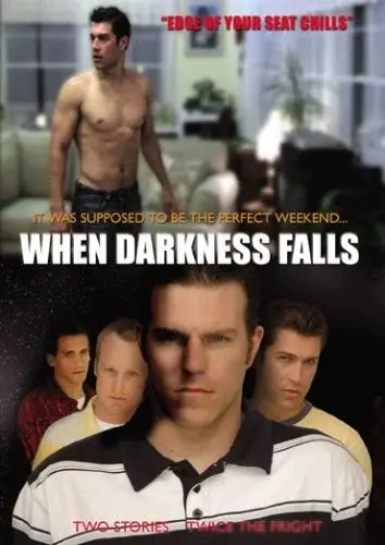 When Darkness Falls  (Gay Cinema) Dvd - Used 1