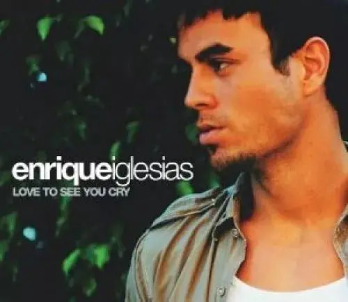 Enrique Iglesias - Love To See You Cry (Import Cd Single) Used 1