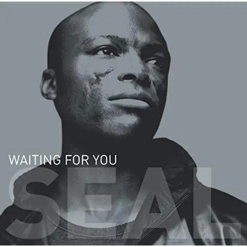 Seal - Waiting For You (Usa Maxi Cd Single) New 1