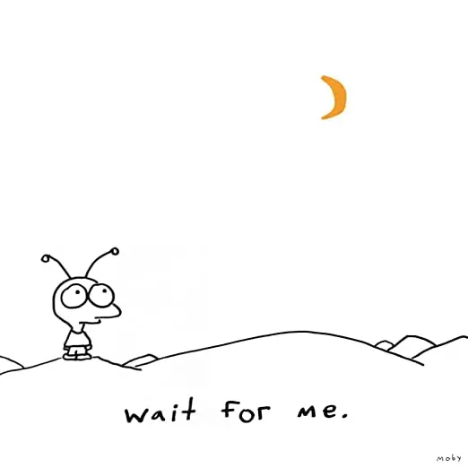 Moby - Wait For Me - Used Cd 1