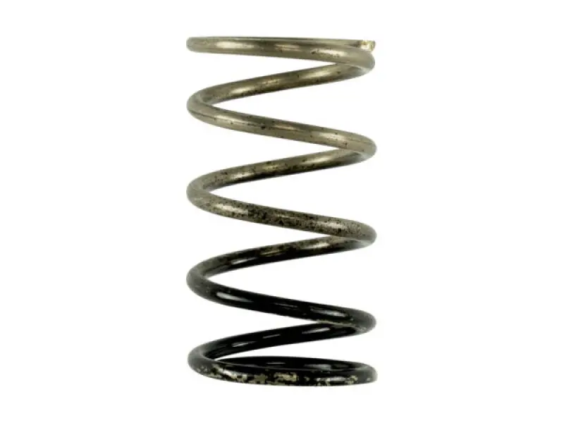 Turbosmart Gen V Internal Wastegate Spring – 3 Psi Replacement 1